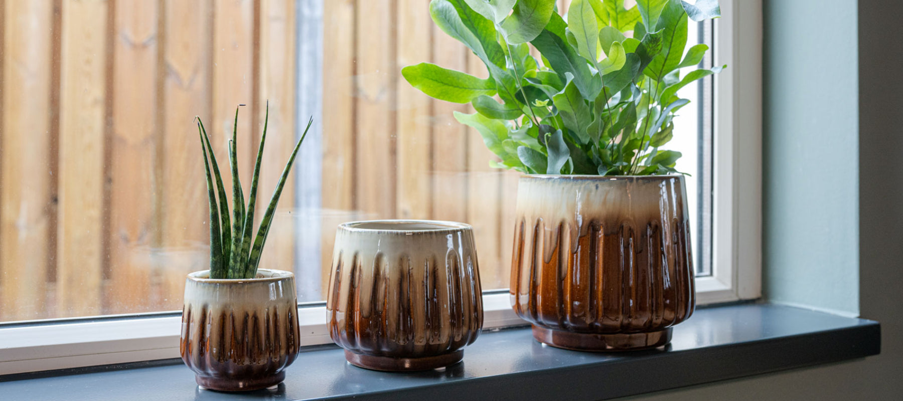 STYLING / 6 Ways To Refresh Your Home With Plants This Autumn
