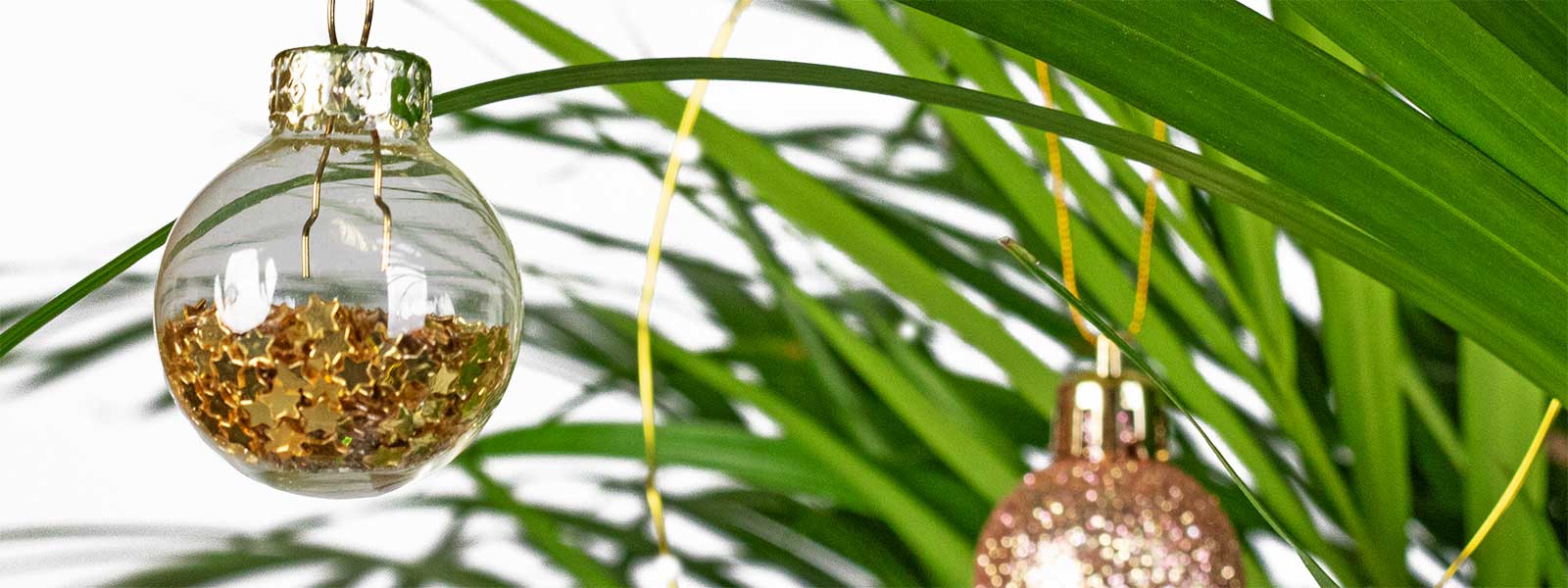Rocking Around The Christmas Tree - Houseplant Alternatives
