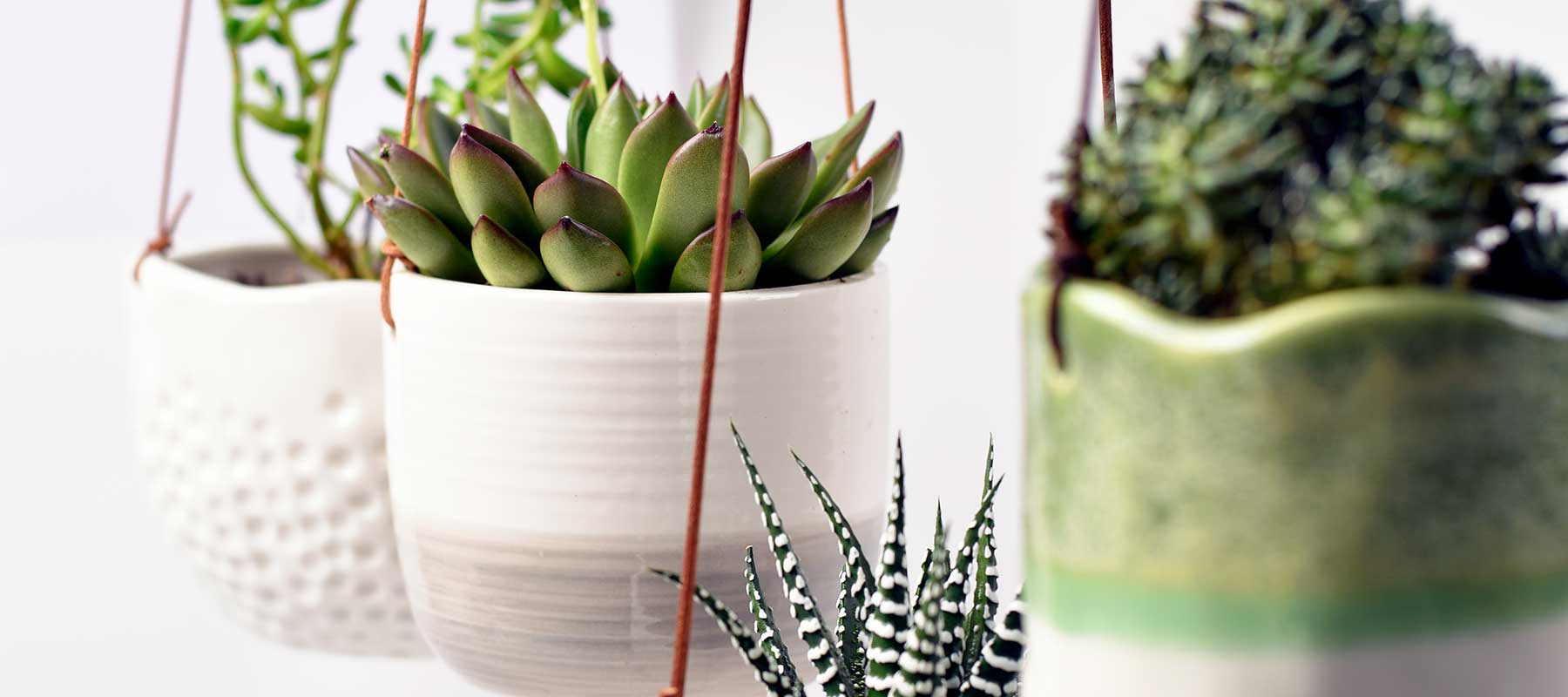 STYLING / 3 Perfect Hanging Plant and Pot Combos For Eye Level Greenery