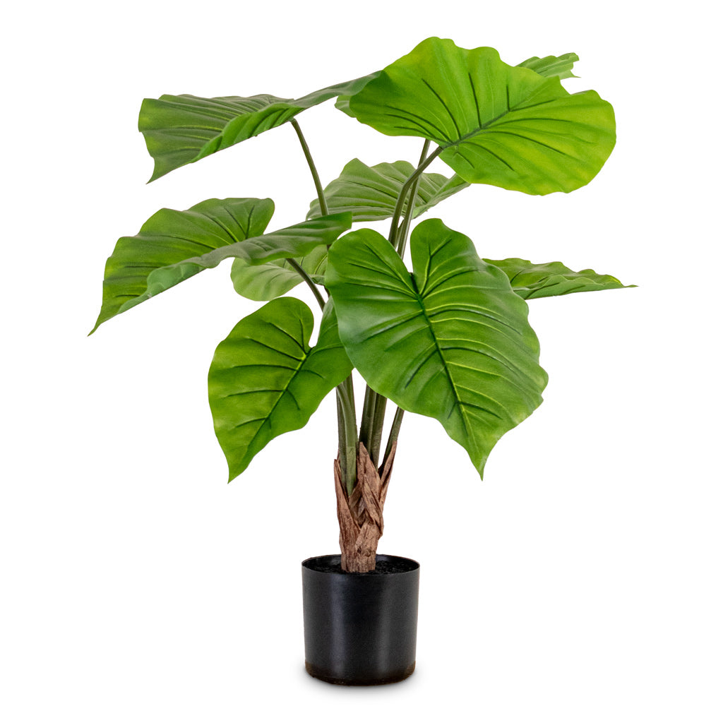 Alocasia Portodora Upright Elephant Ear Potted Artificial 70cm
