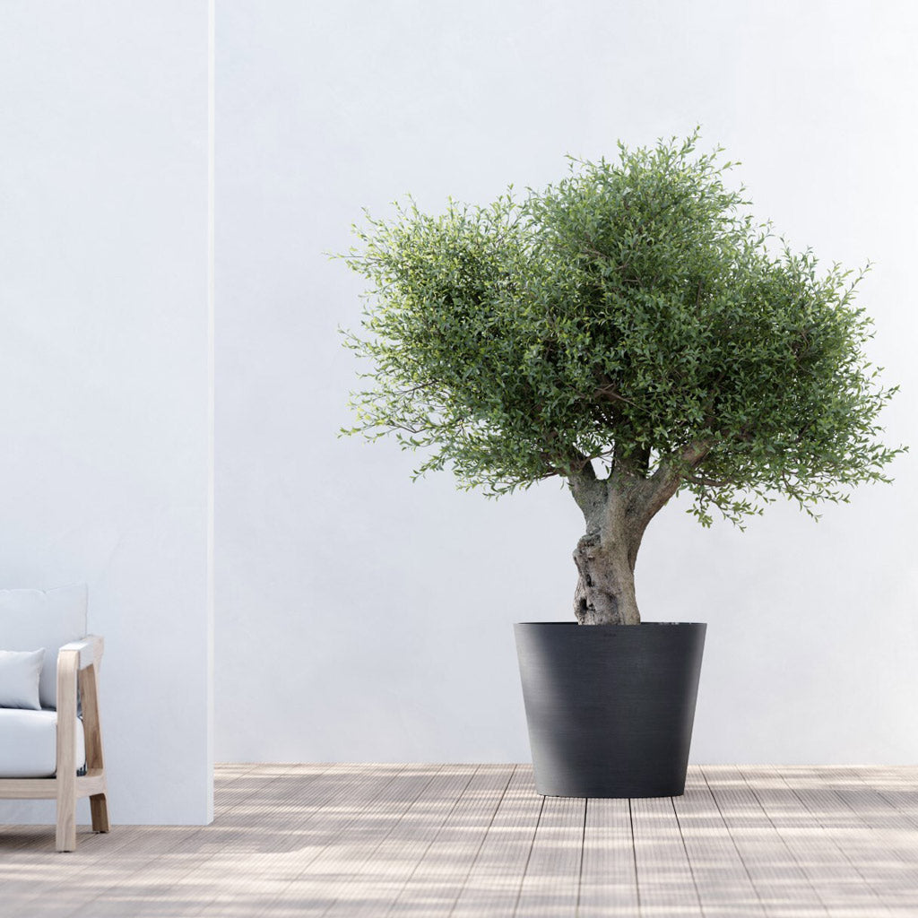 EcoPots Amsterdam - Slate - Plastic - Planter XXL