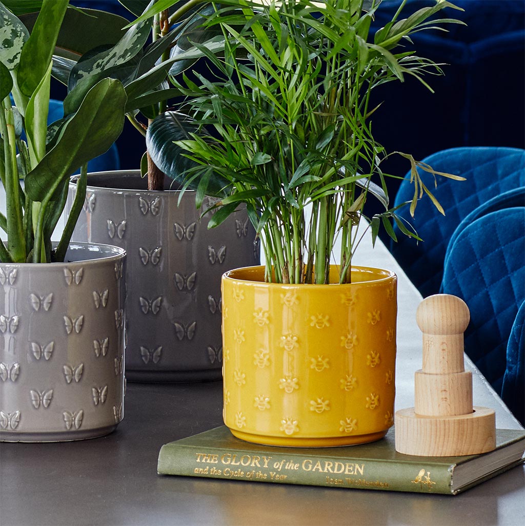 Arley Plant Pot - Yellow Bee & Grey Butterfly