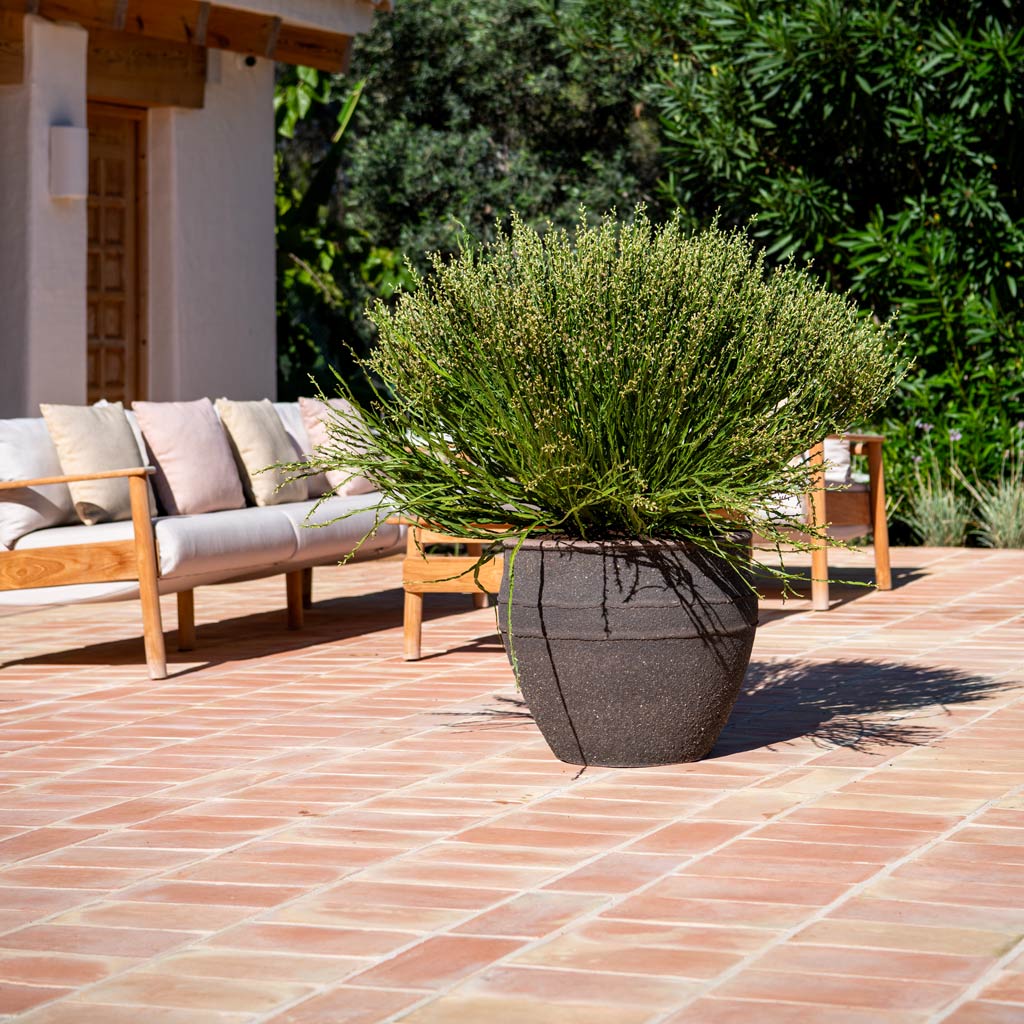 Athena Mediterranean Planter Umber Brown With Outdoor Plants