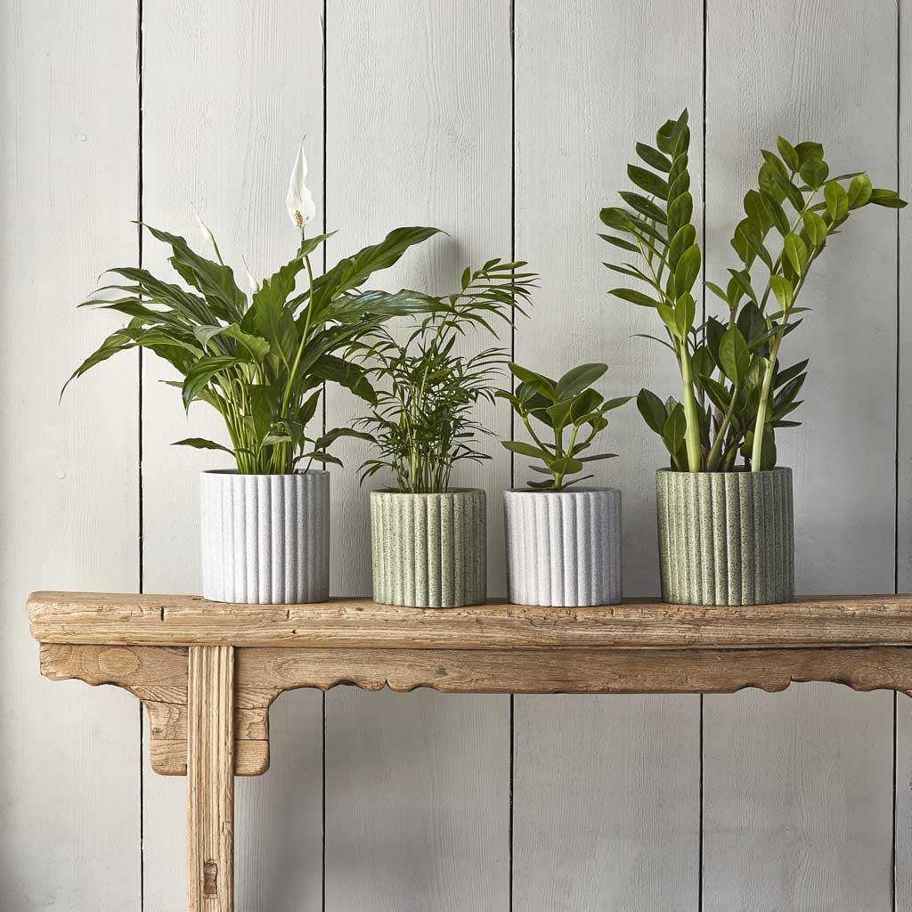 Azalea Ribbed Plant Pot - Speckled Grey Stone & Green On Mantle