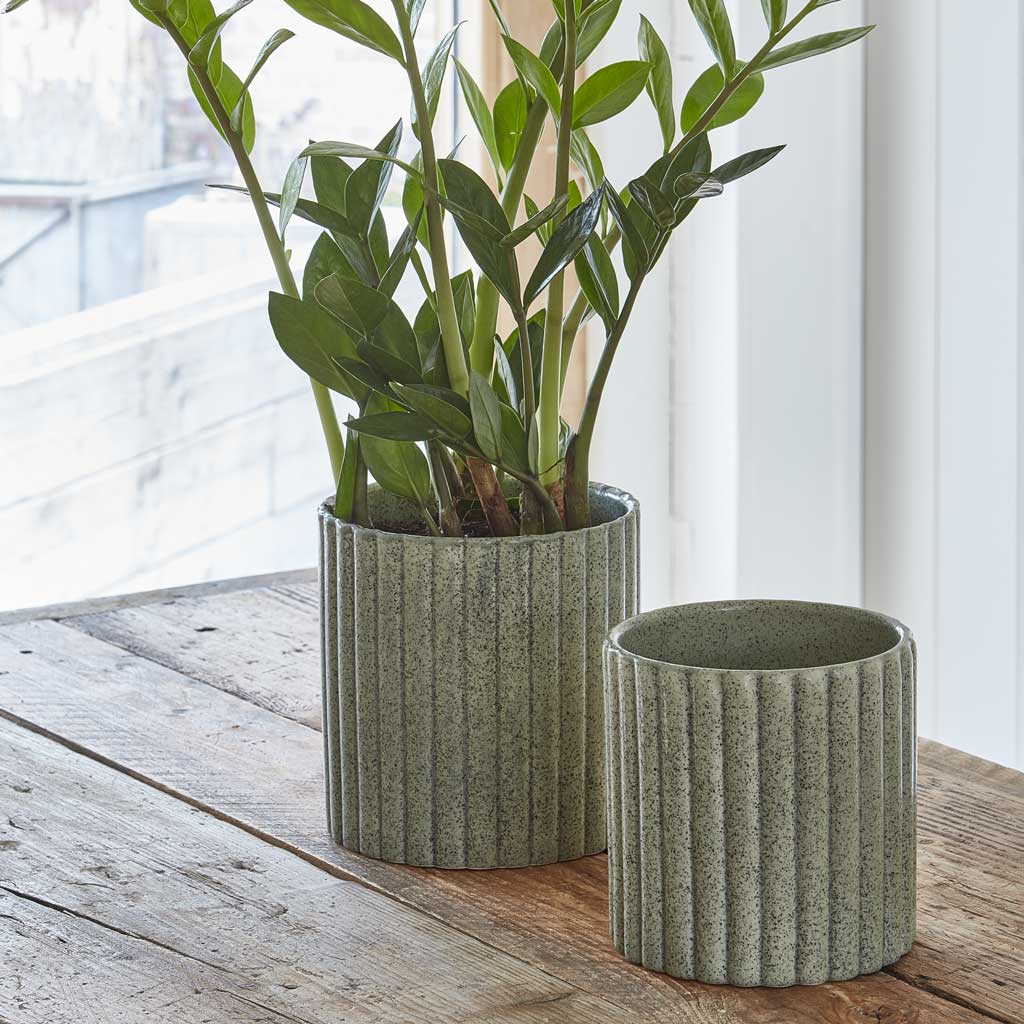 Azalea Ribbed Plant Pot - Speckled Green Stone & ZZ Plant On Table