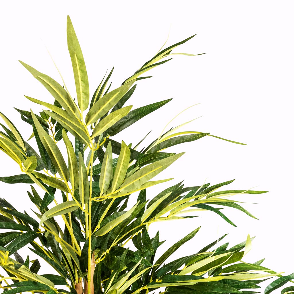 Bamboo Artificial Close Up