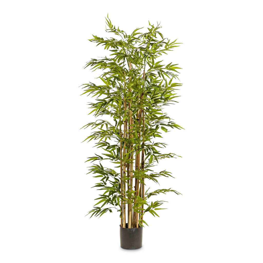Bamboo Deluxe - Artificial Plant - 175cm - (15 Stems)