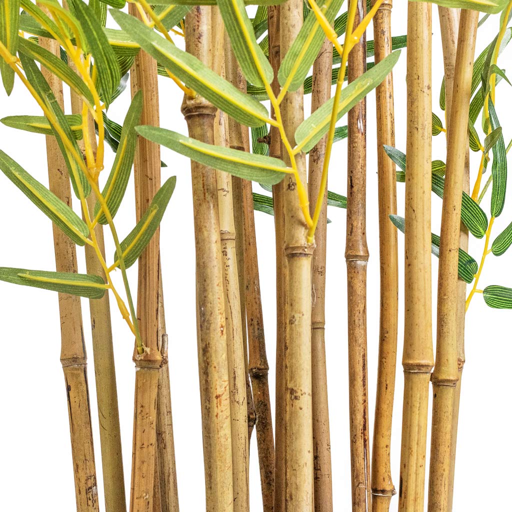 Bamboo Japanese Artificial Close Up Of Bamboo Stems