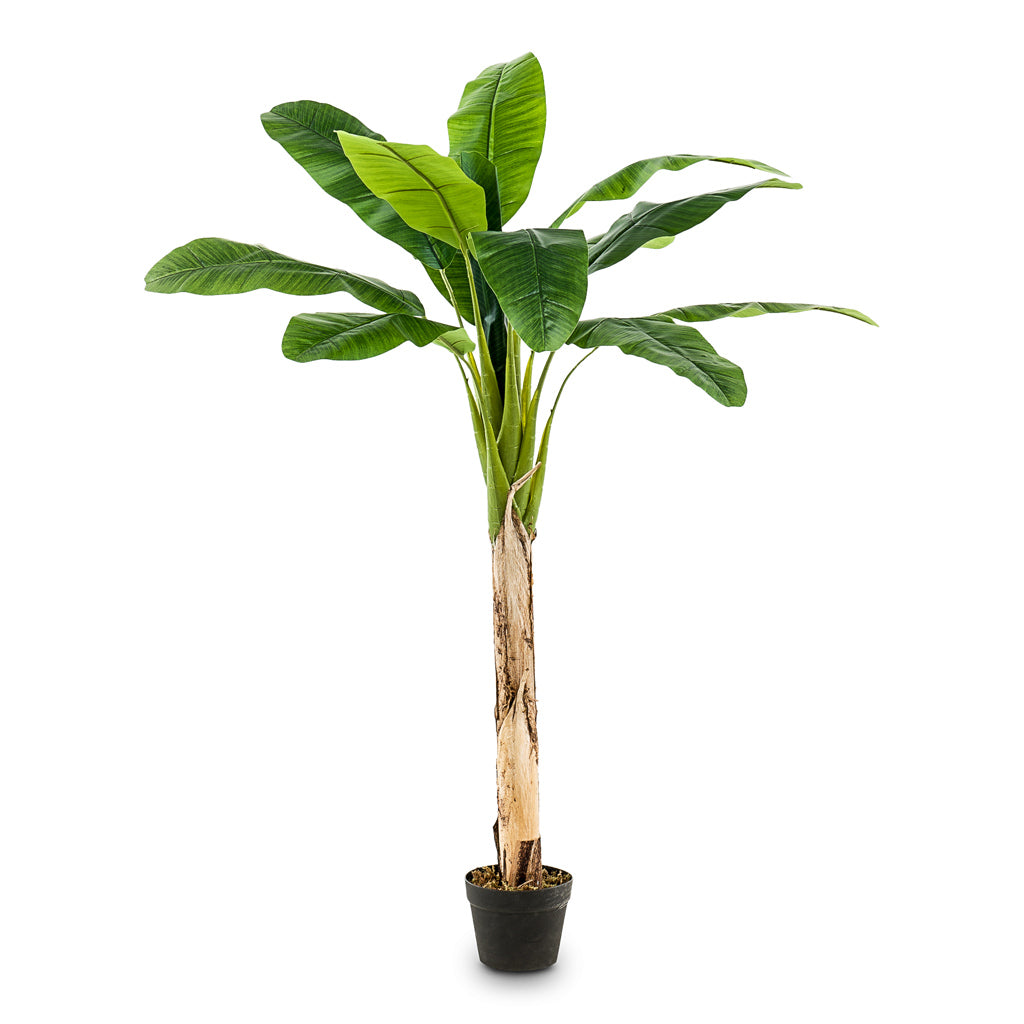 Banana Tree Artifical - 150cm