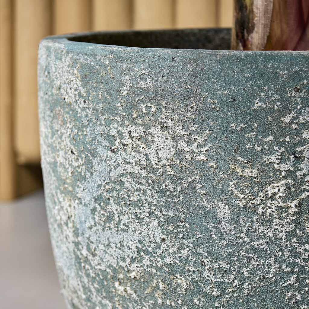 Baq Sandora Couple Green Close Up