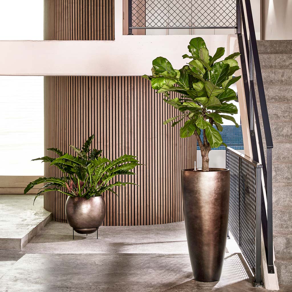 Metallic Globe Plant Pot - Matt Coffee & Philodendron & Partner Planter