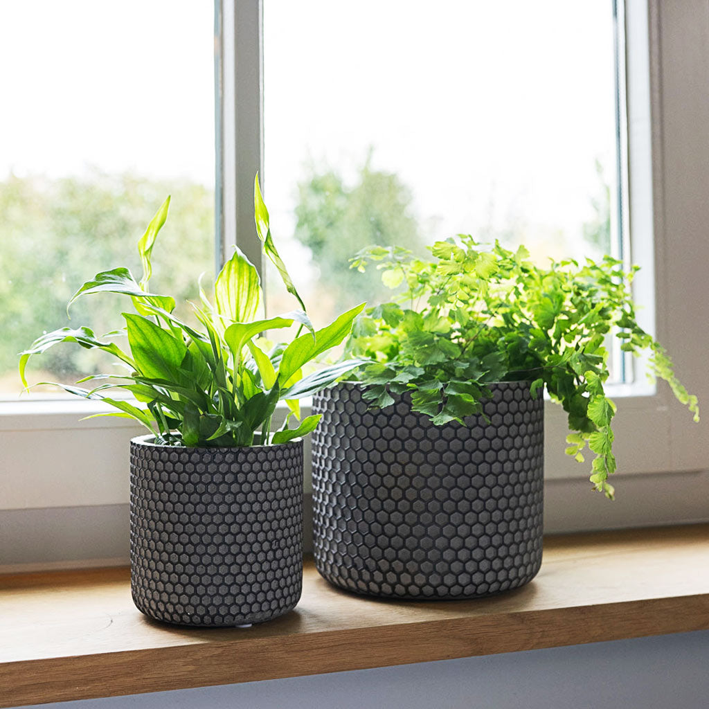 Bernt Shiny Black Plant Pot on Window Sill