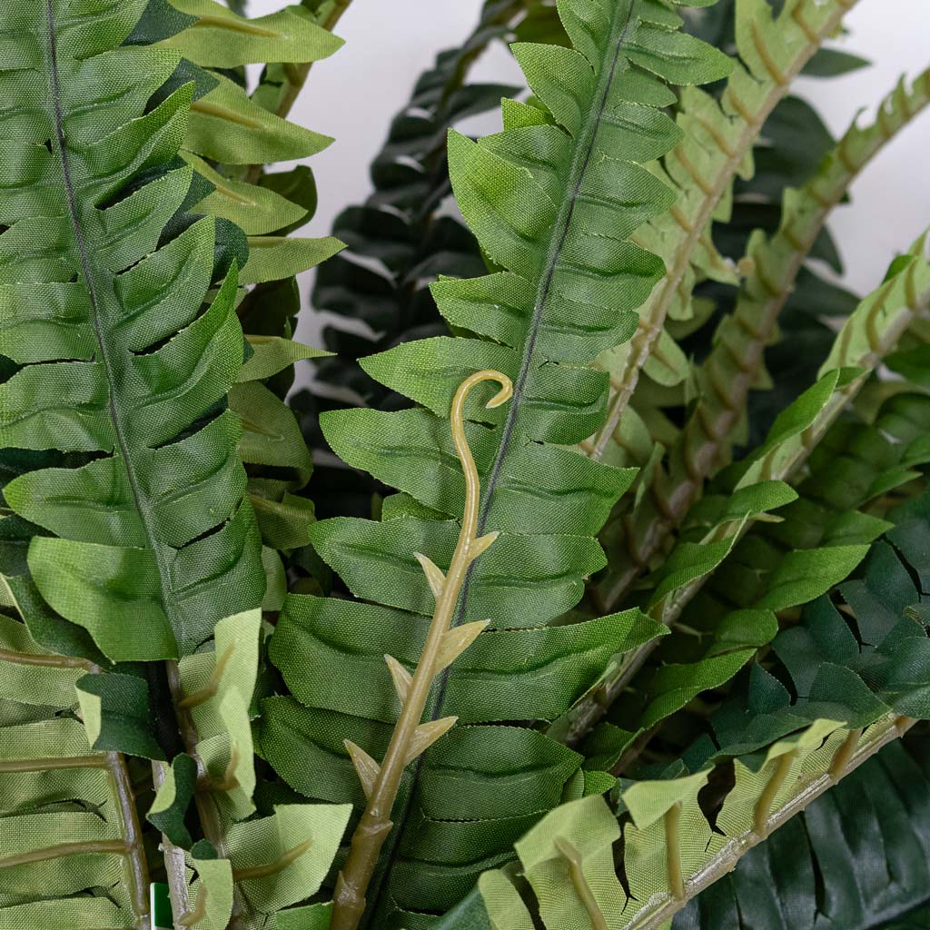 Boston Fern Artificial Close up
