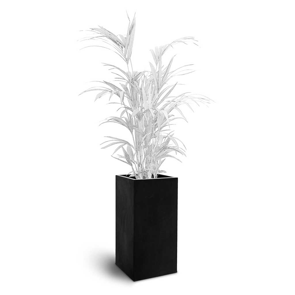 Bouvy Natural Planter - XL Plant Display
