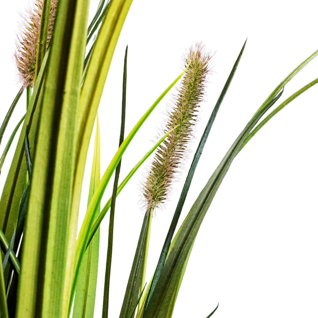 Cattails Grass Artificial Close Up