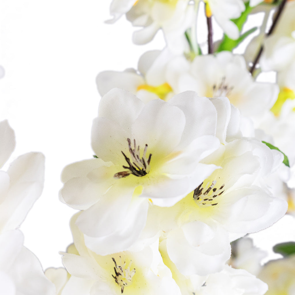 Cherry Blossom Tree White Artificial Close Up Of Blossom