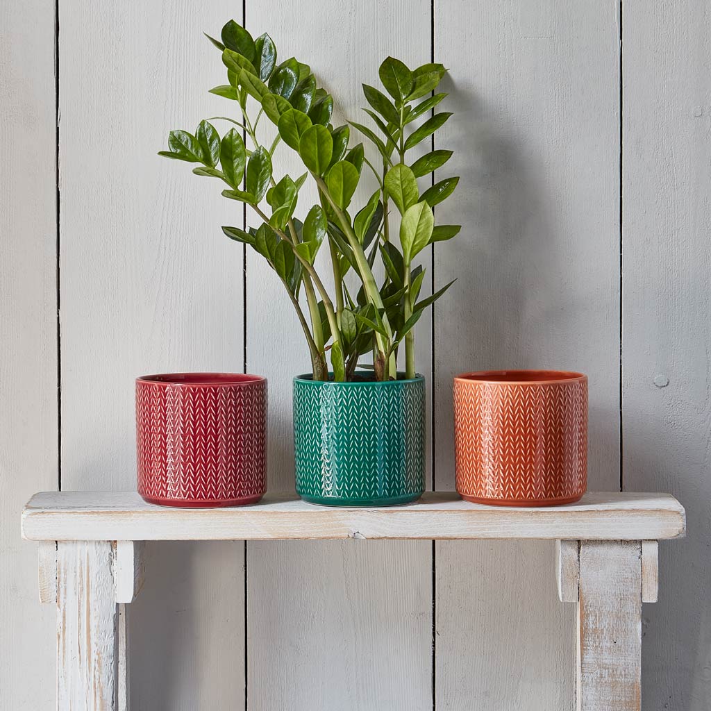 ZZ Houseplant In Chevron Emerald