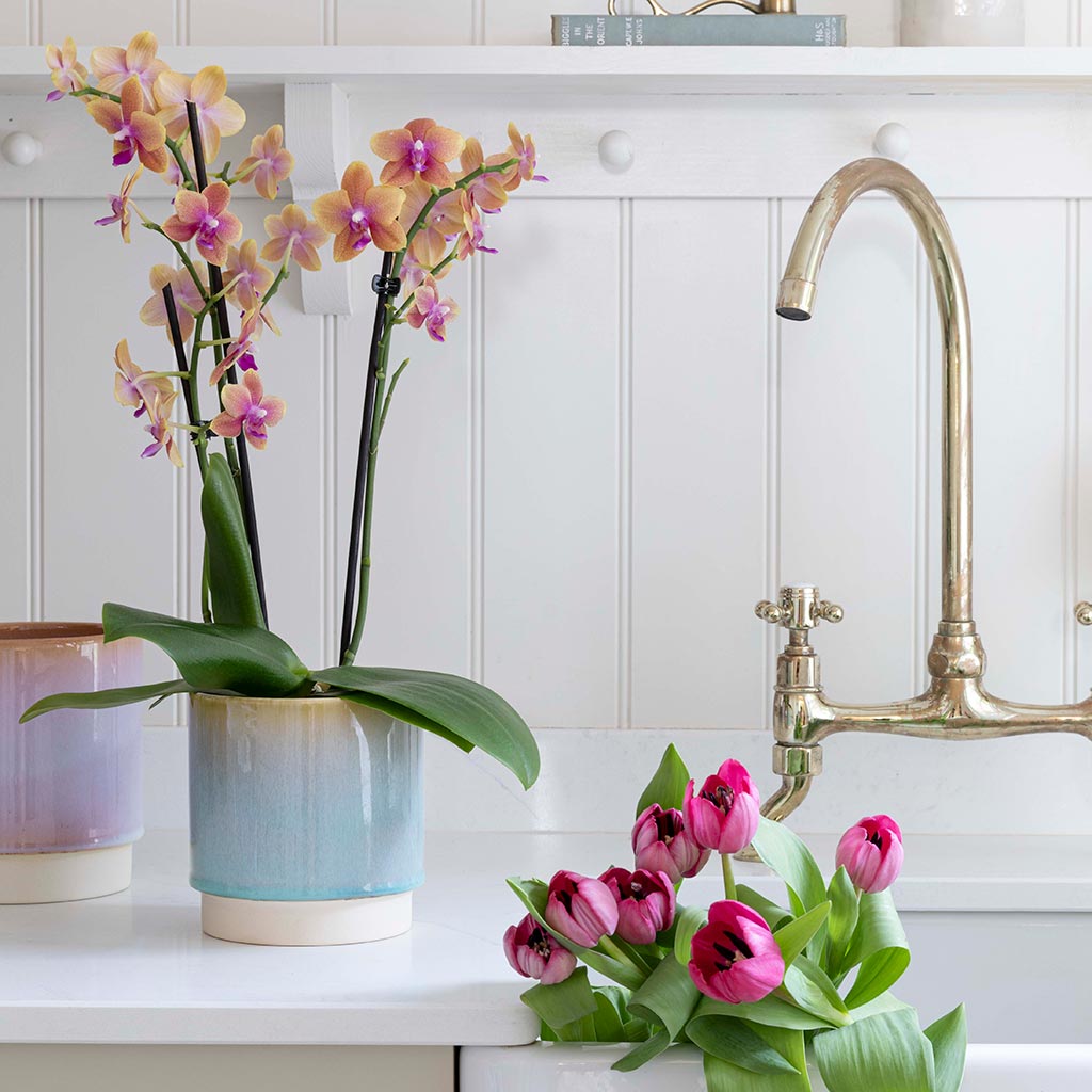 Copenhagen Plant Pot - Aqua In Kitchen