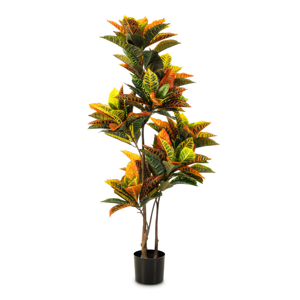 Croton Petra Potted Artificial 135cm