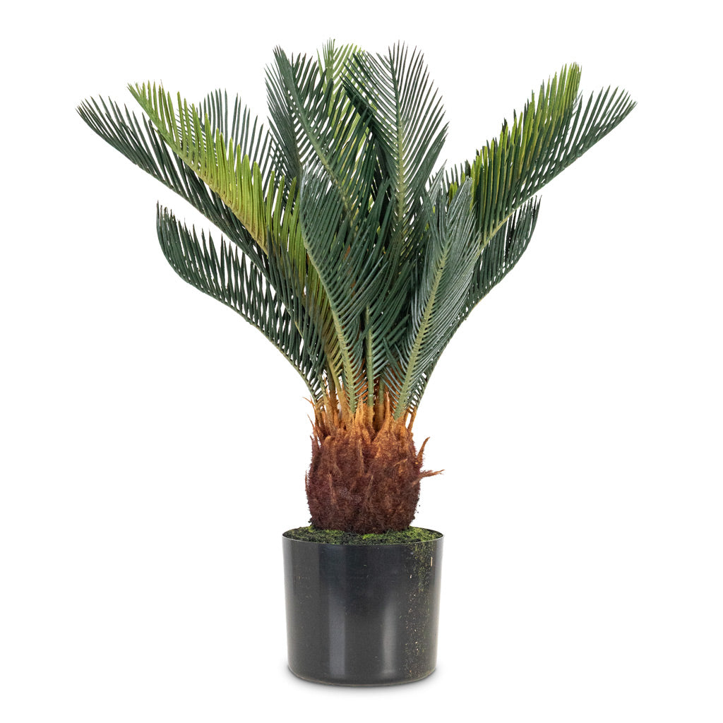Cycas revoluta Palm Artificial 55cm