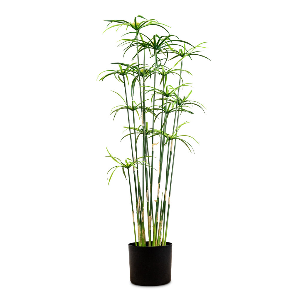 Cyperus Artificial 90cm