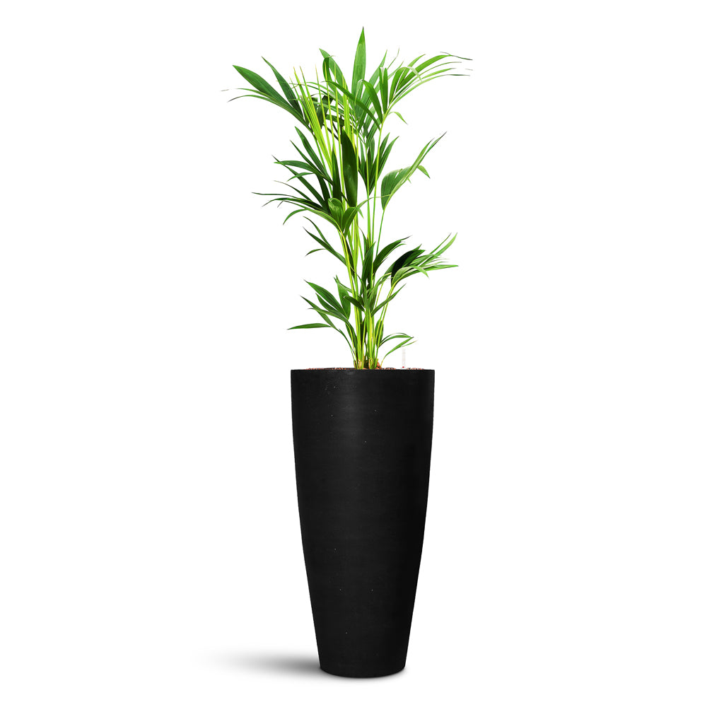 Dax Natural Tall Planter - Large Plant Display