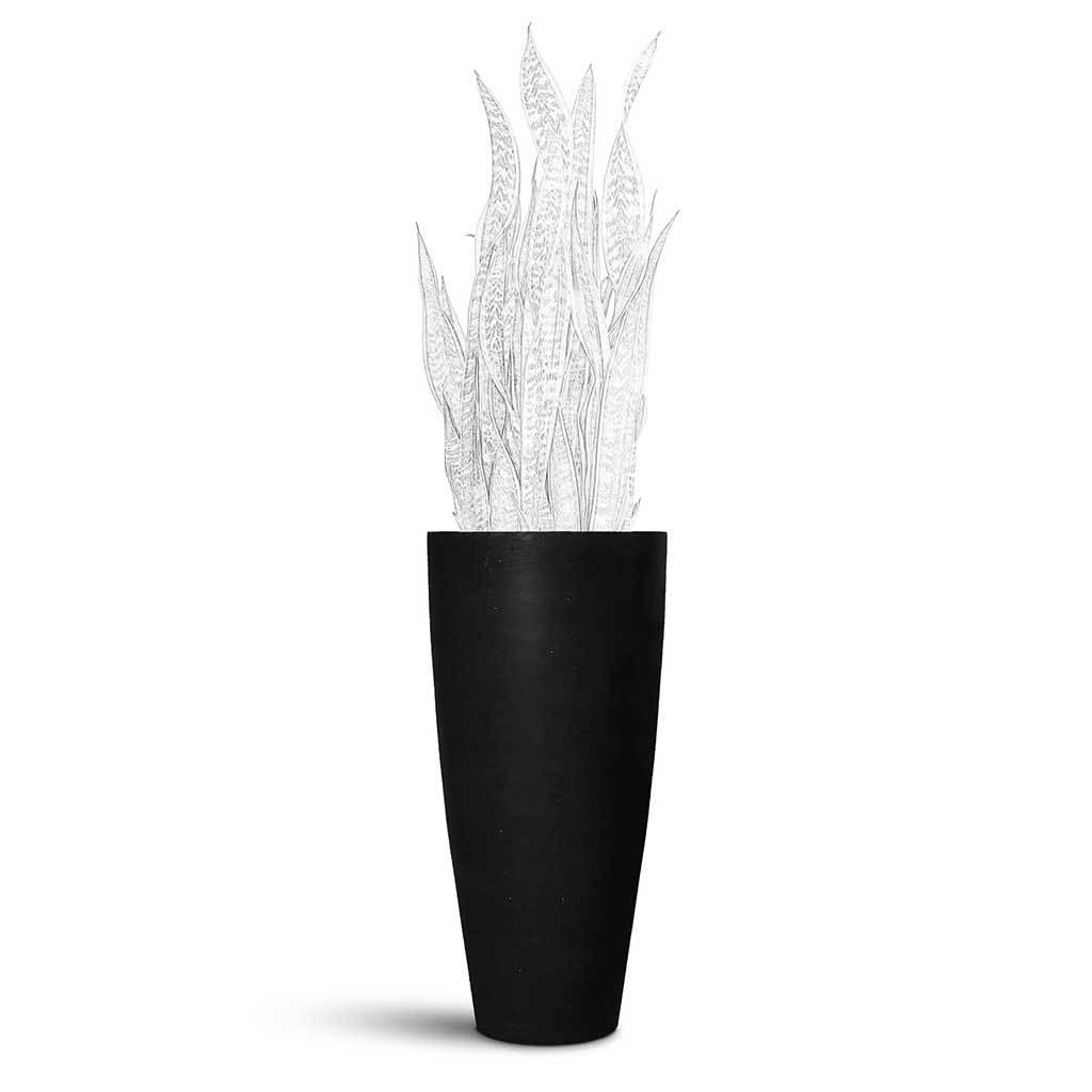 Dax Natural Tall Planter - Large Plant Display