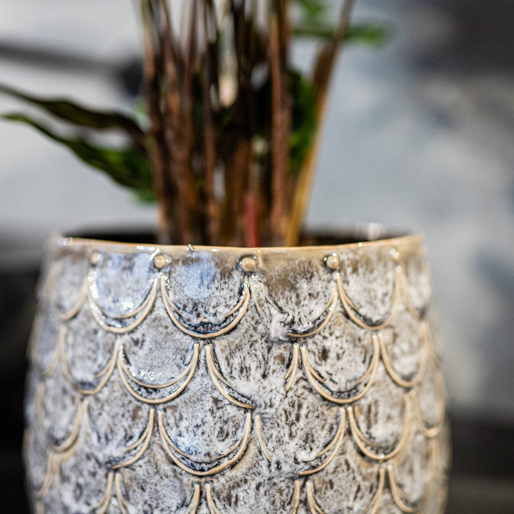 Debby Lavender Plant Pot Close Up