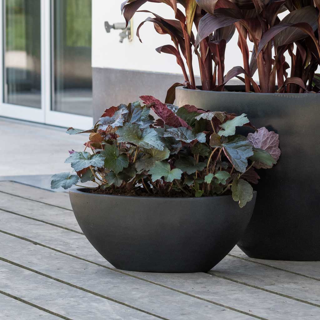 Dorant Natural Planter - Black & Jesslyn