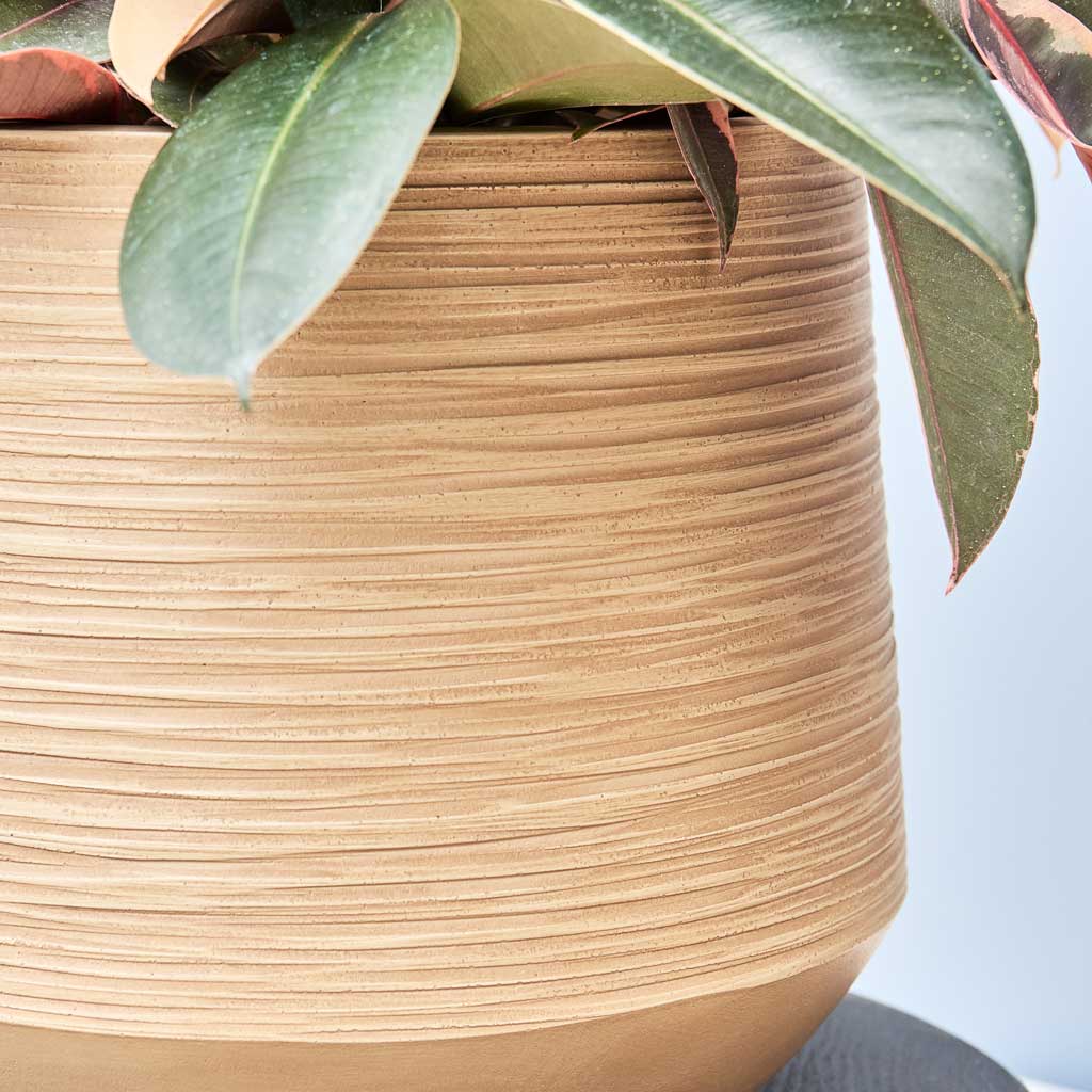 Dune Darcy Planter - Almond Close Up