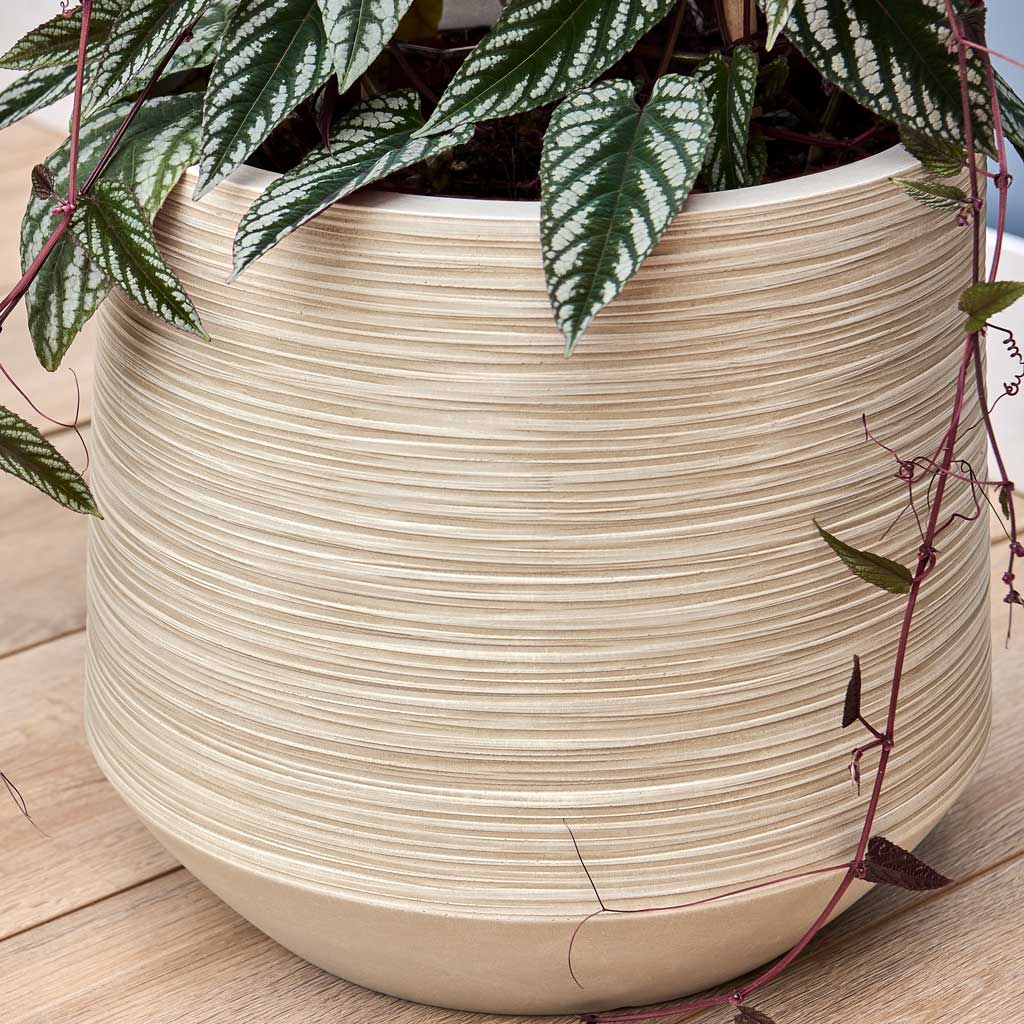 Dune Darcy Planter - Oat - Close Up