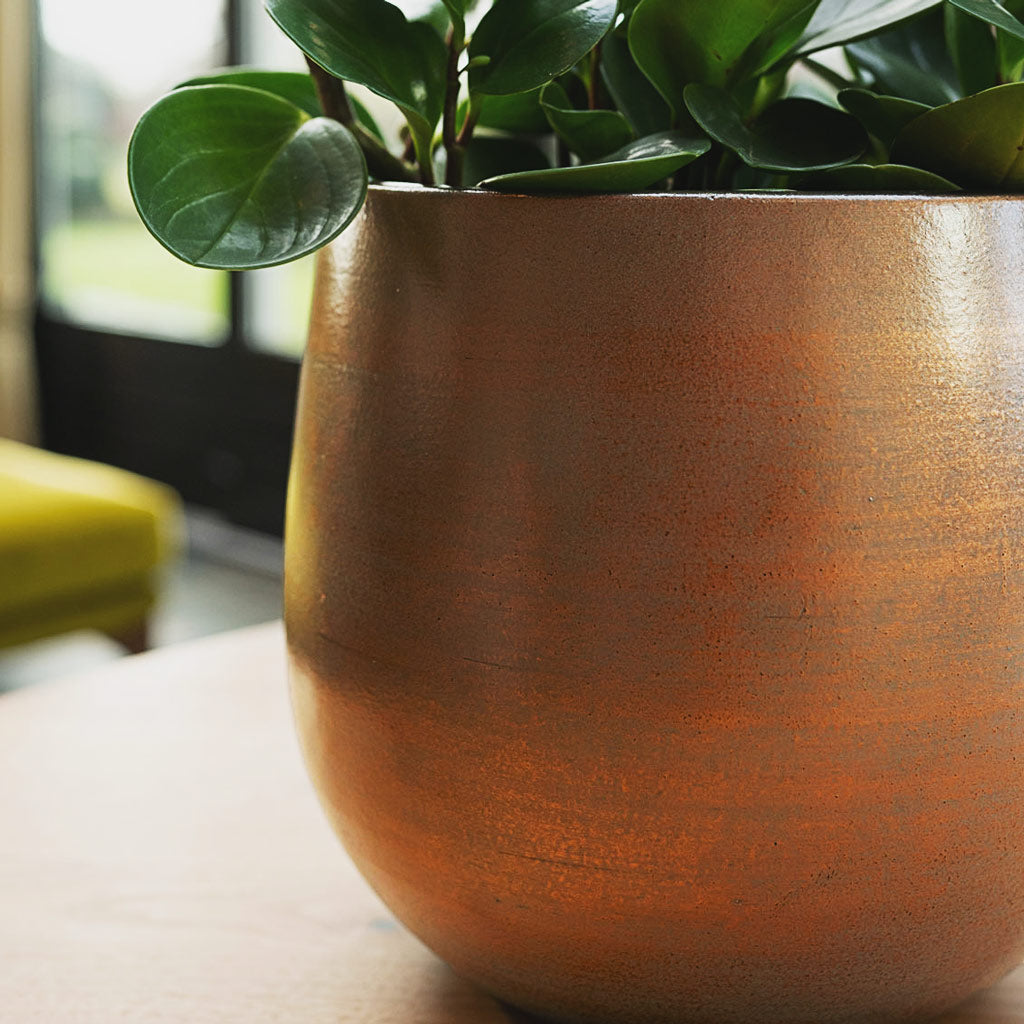 Esra Plant Pot - Champagne - Ceramic Textures