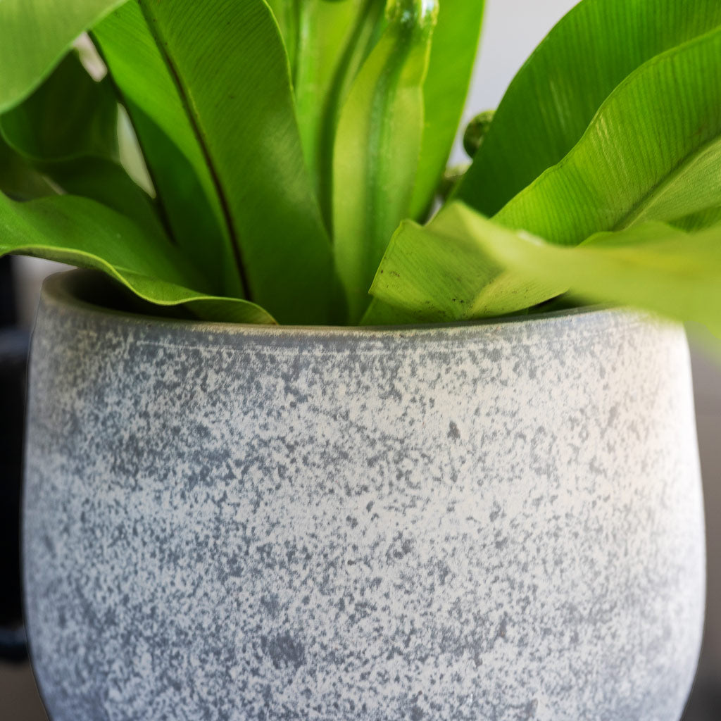 Esra Pot Concrete Close up