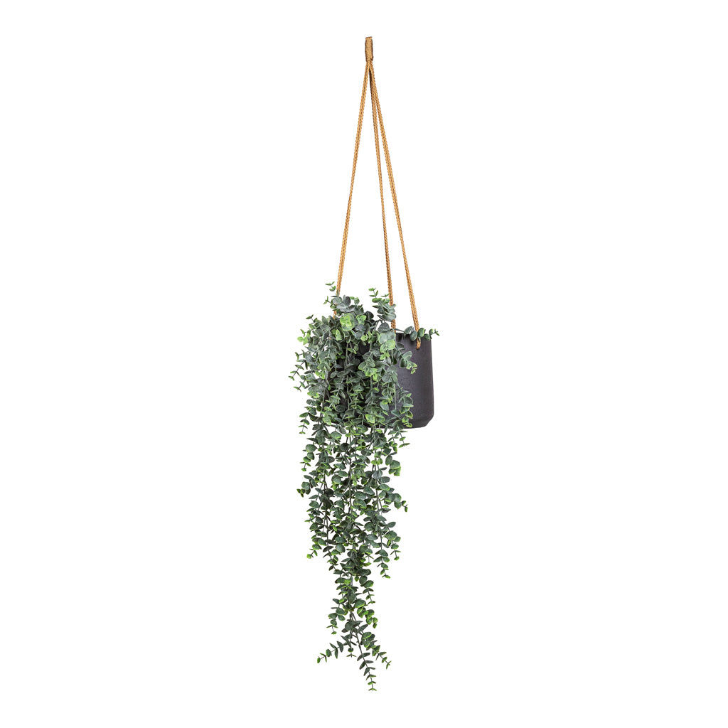 Eucalypthus Hanging Bush Artificial In Patt Hanging Pot Black Washed