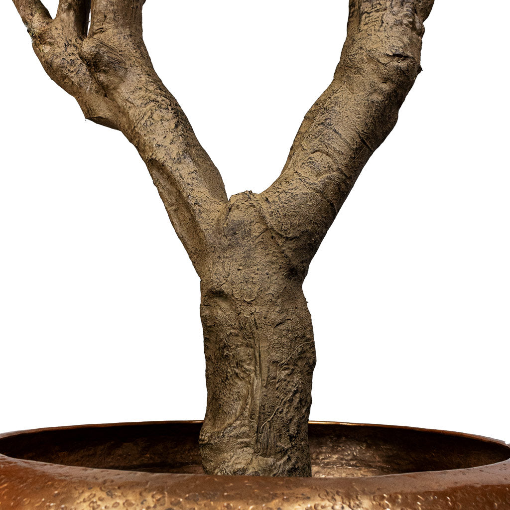 Eucalyptus Botanic Tree Potted Artificial Close up