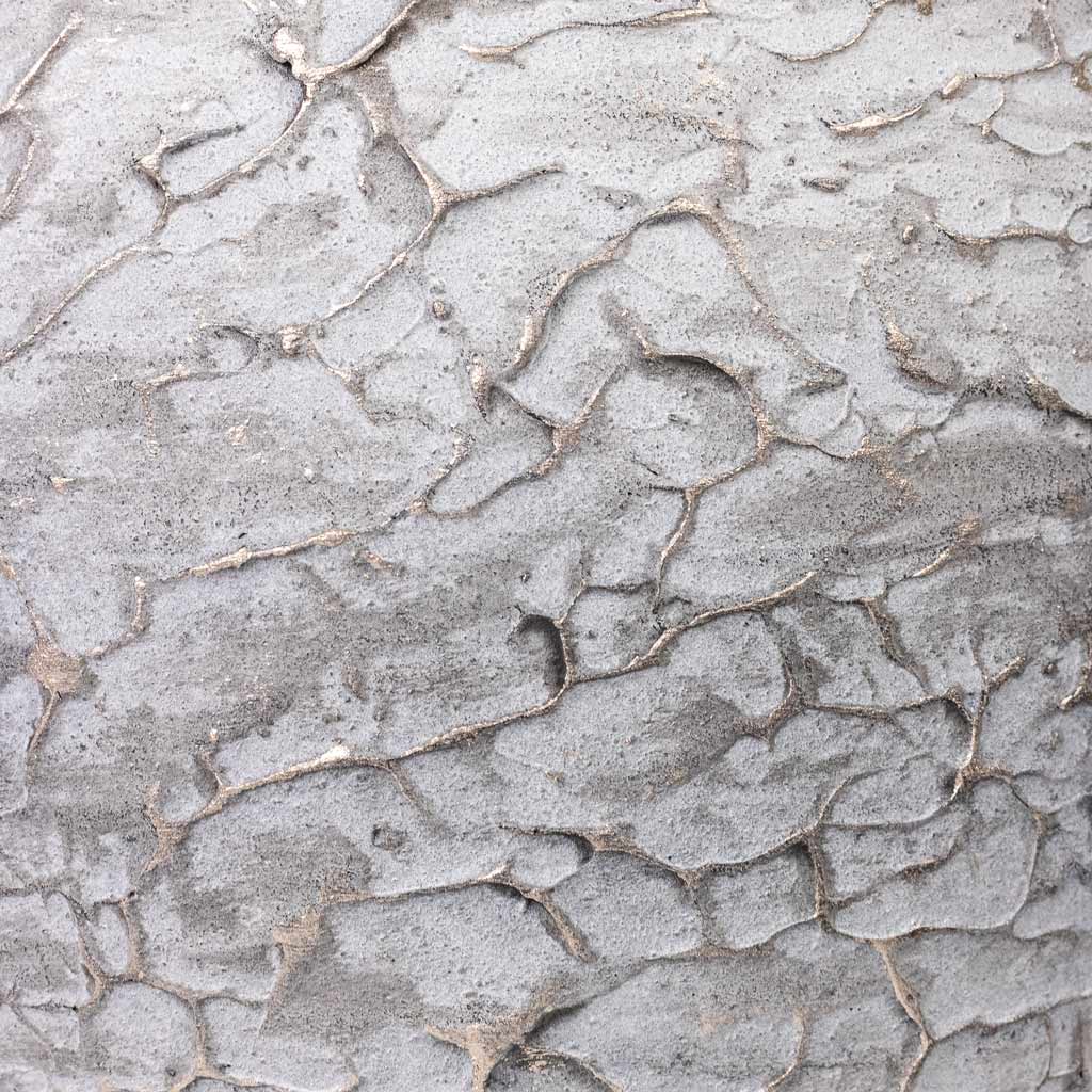 Evi Plant Pot Antique Silver Close Up