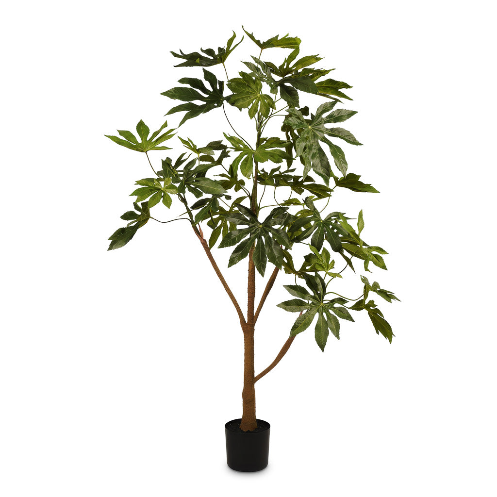 Fatsia japonica Potted Artificial 150cm