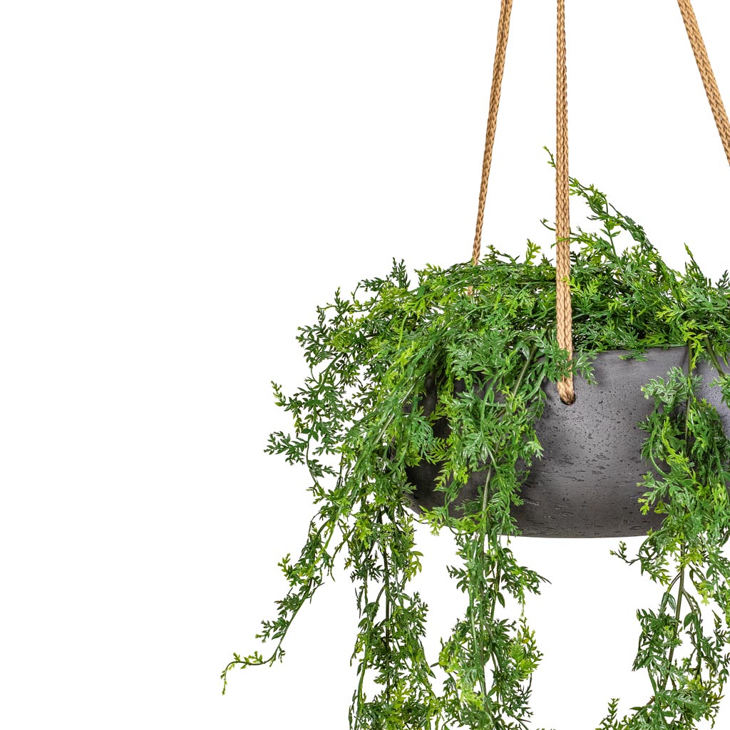 Fern Hanging Bush UV Resistant Artificial In Eileen Hanging Bowl Black Washed Close Up