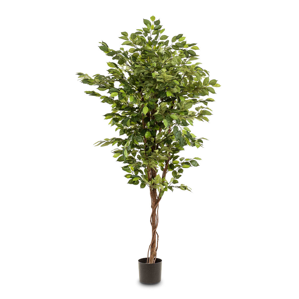 Ficus Deluxe Vine Tree - Artificial - 170cm