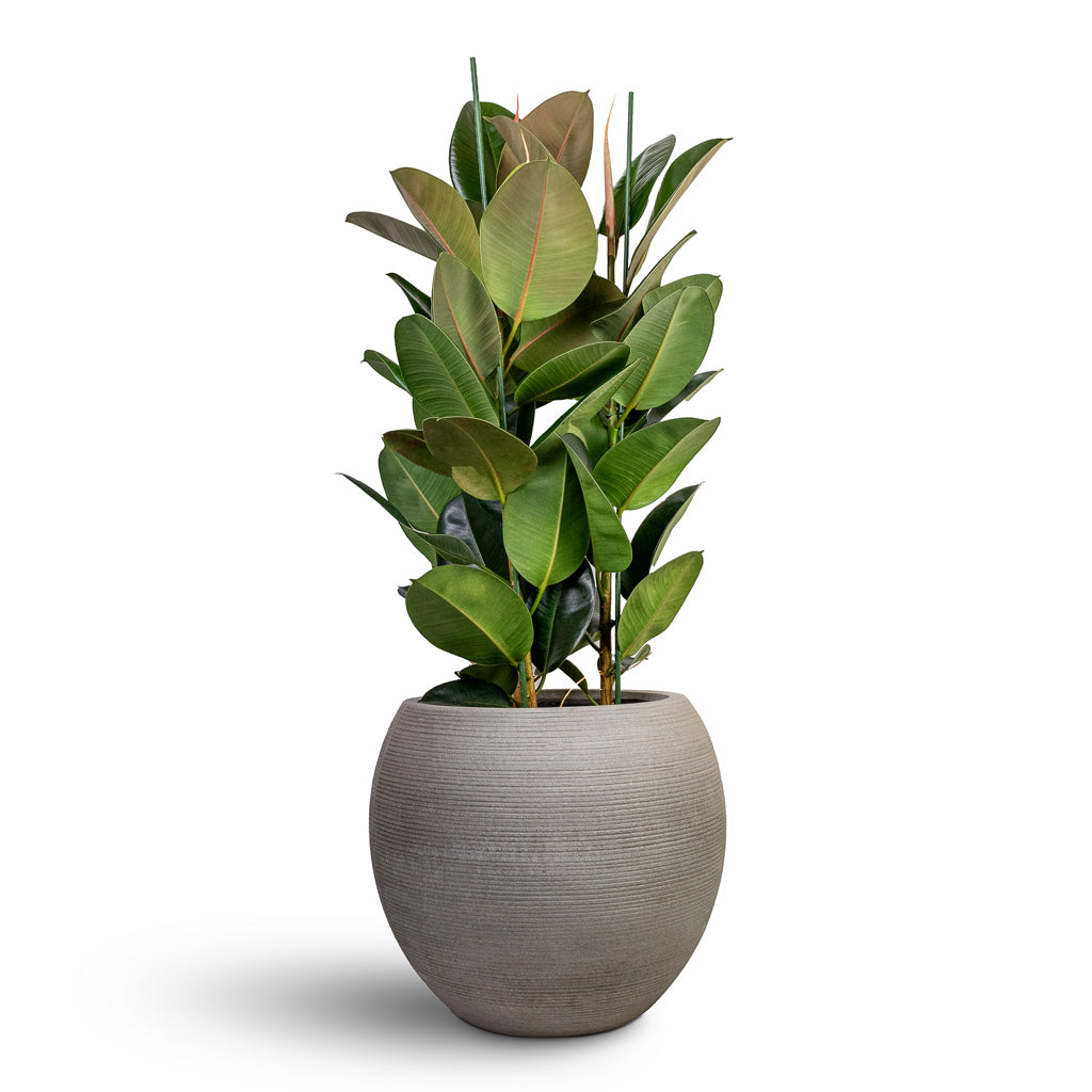 Abby Ball Plant Pot - Ridged Dark Grey 23 x 20cm