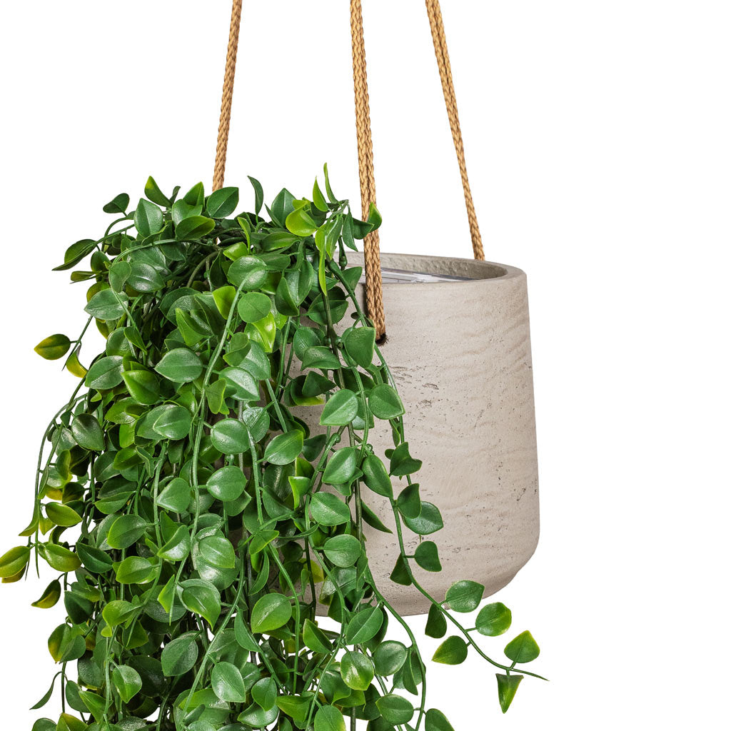 Ficus pumila Hanging Bush Artificial (6 stems) In Patt Hanging Pot Grey Washed