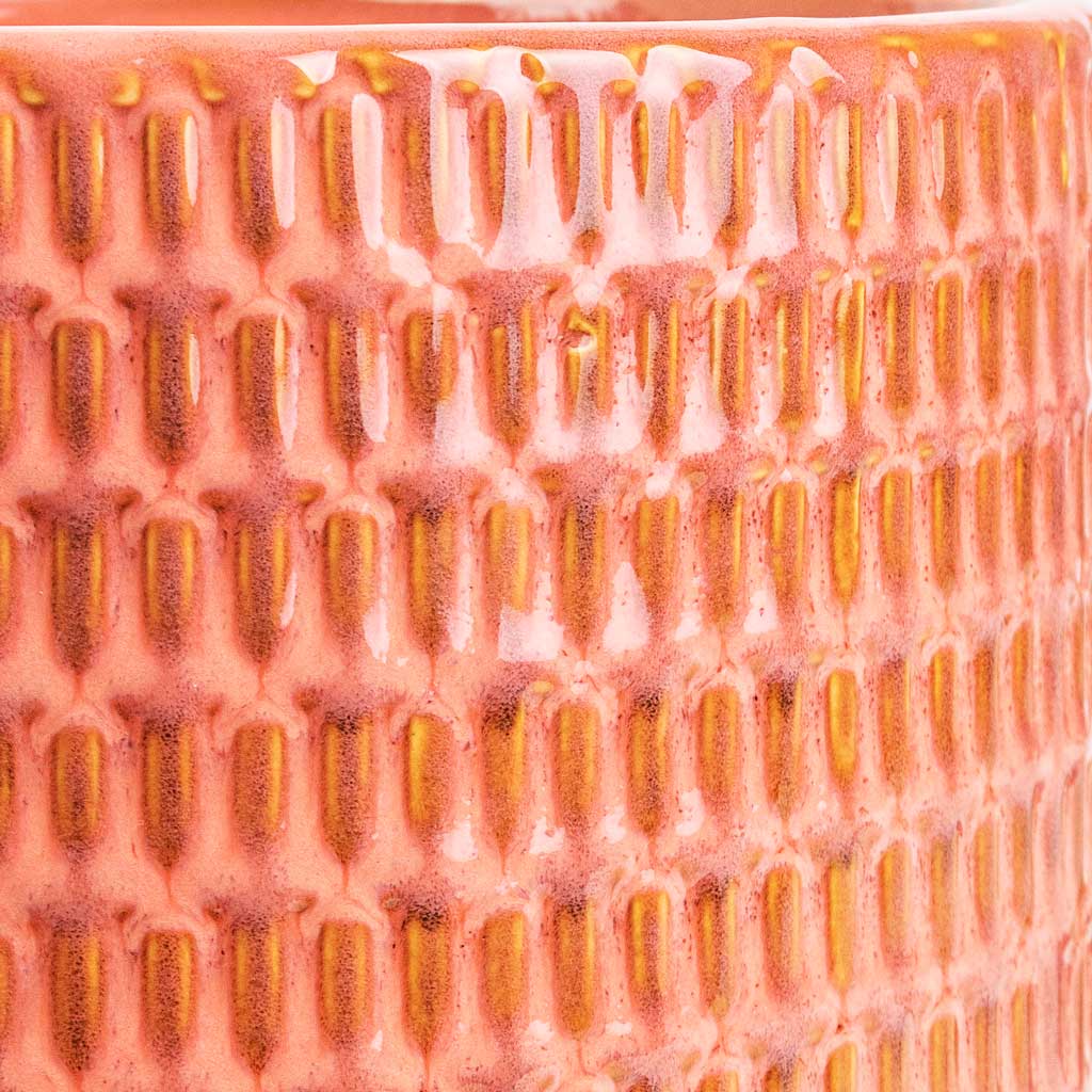 Flor Orange Plant Pot Pink Detail