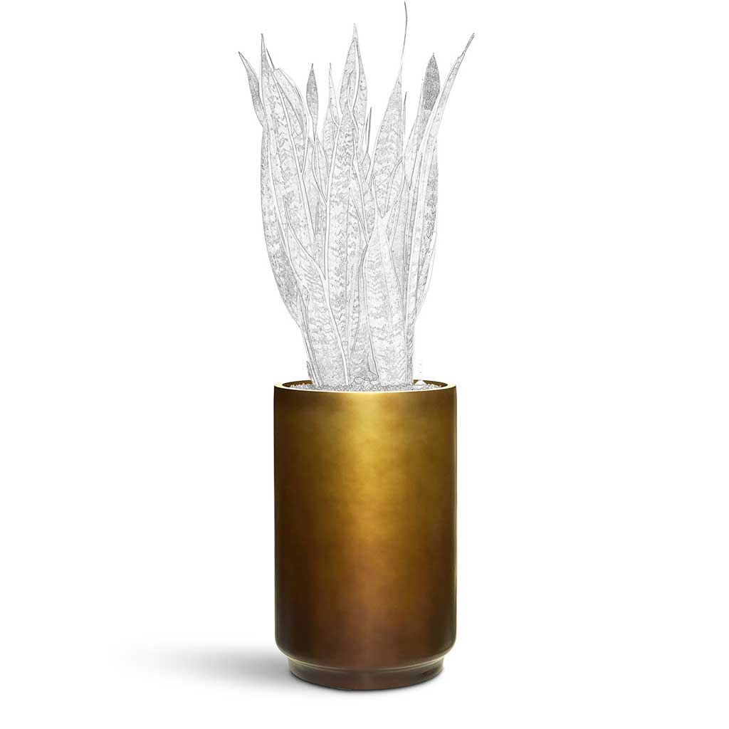 Gradient Cylinder Planter - Large Plant Display