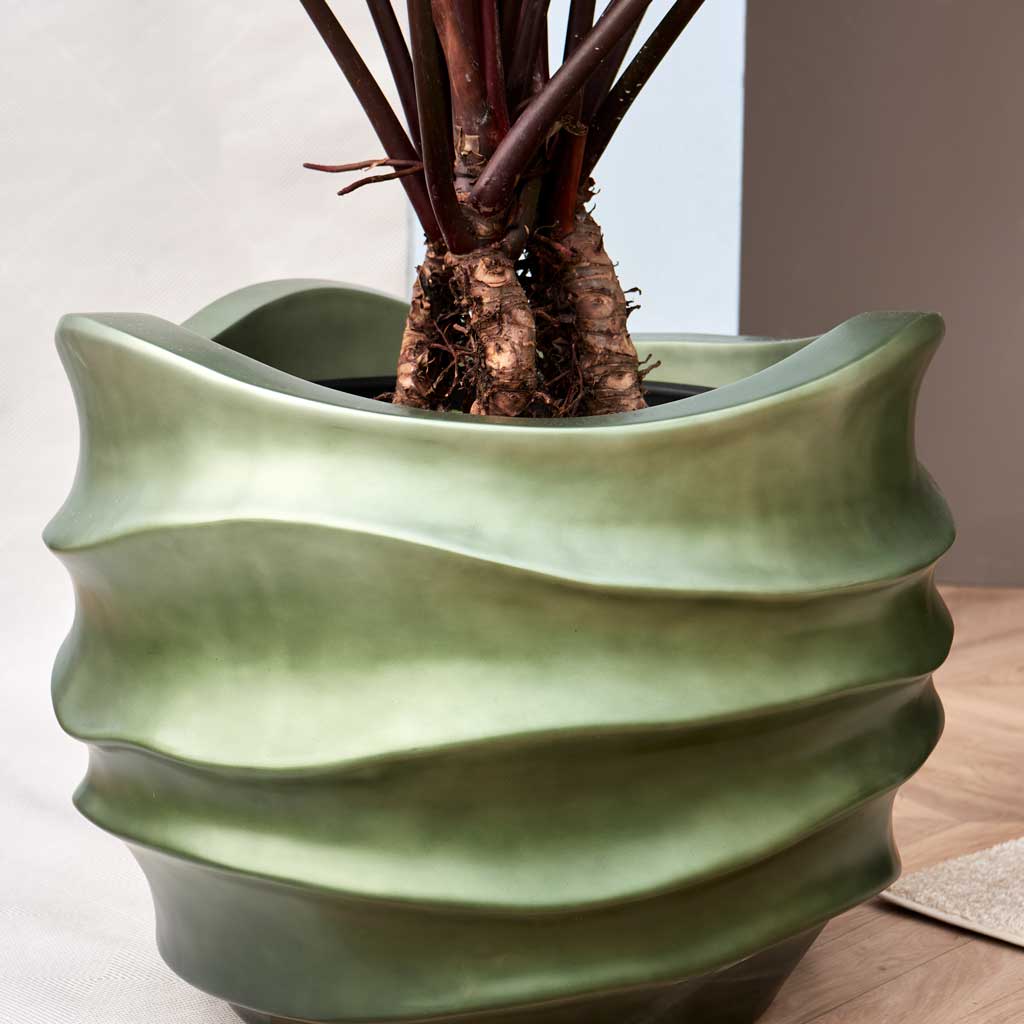 Gradient Lee Couple Planter - Matt Forest & Philodendron Roots