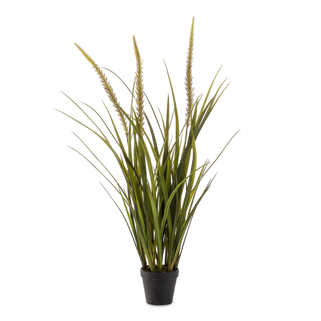 Grass Foxtail Artificial - 90cm - (3 Stems)