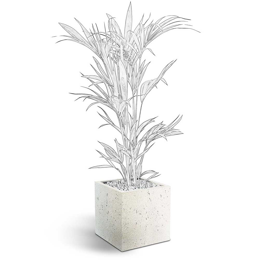 Grigio Cube Planter - XL Plant Display