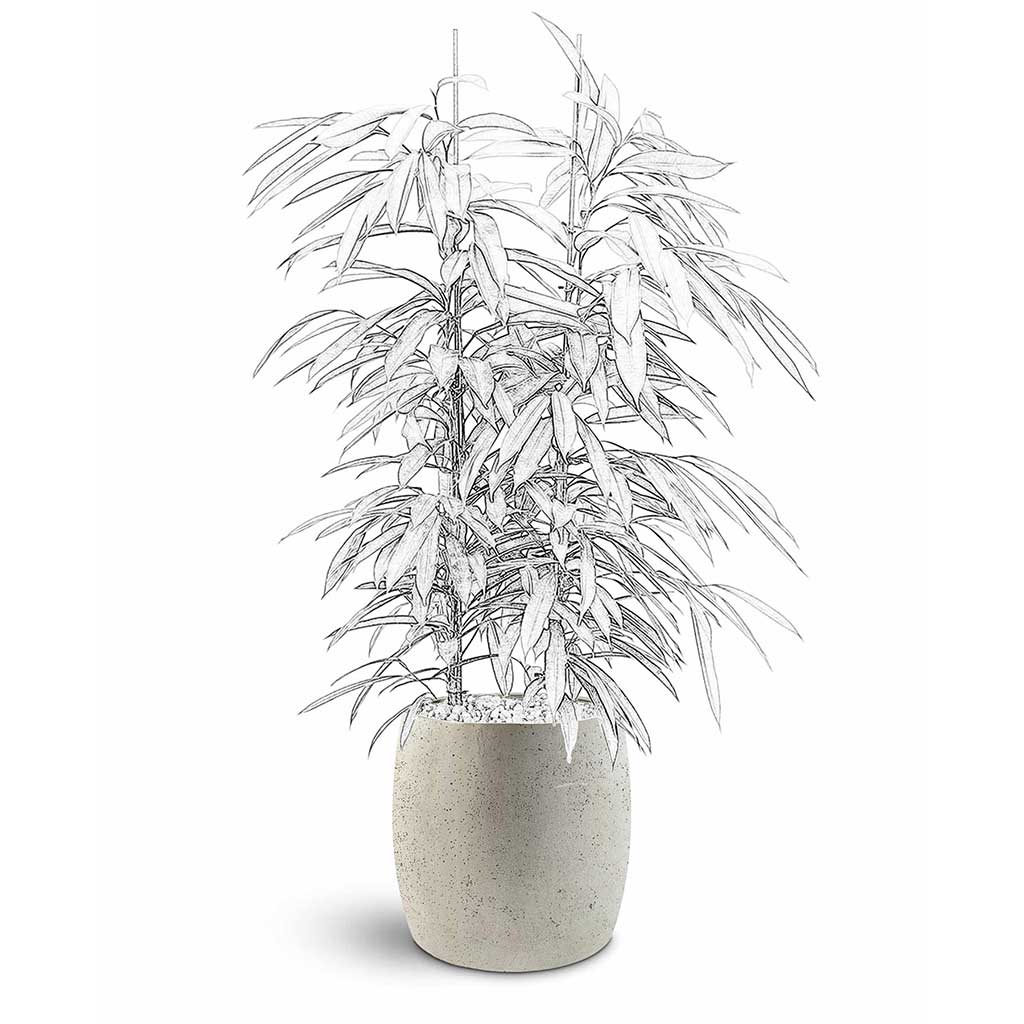 Grigio Modern Planter - Large Plant Display