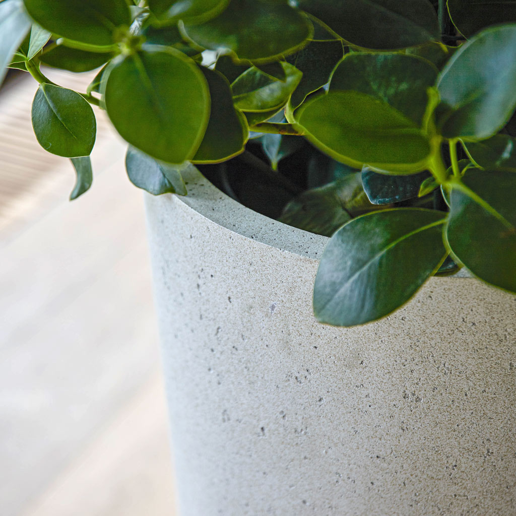 Grigio Tall Partner Planter - Antique White Concrete
