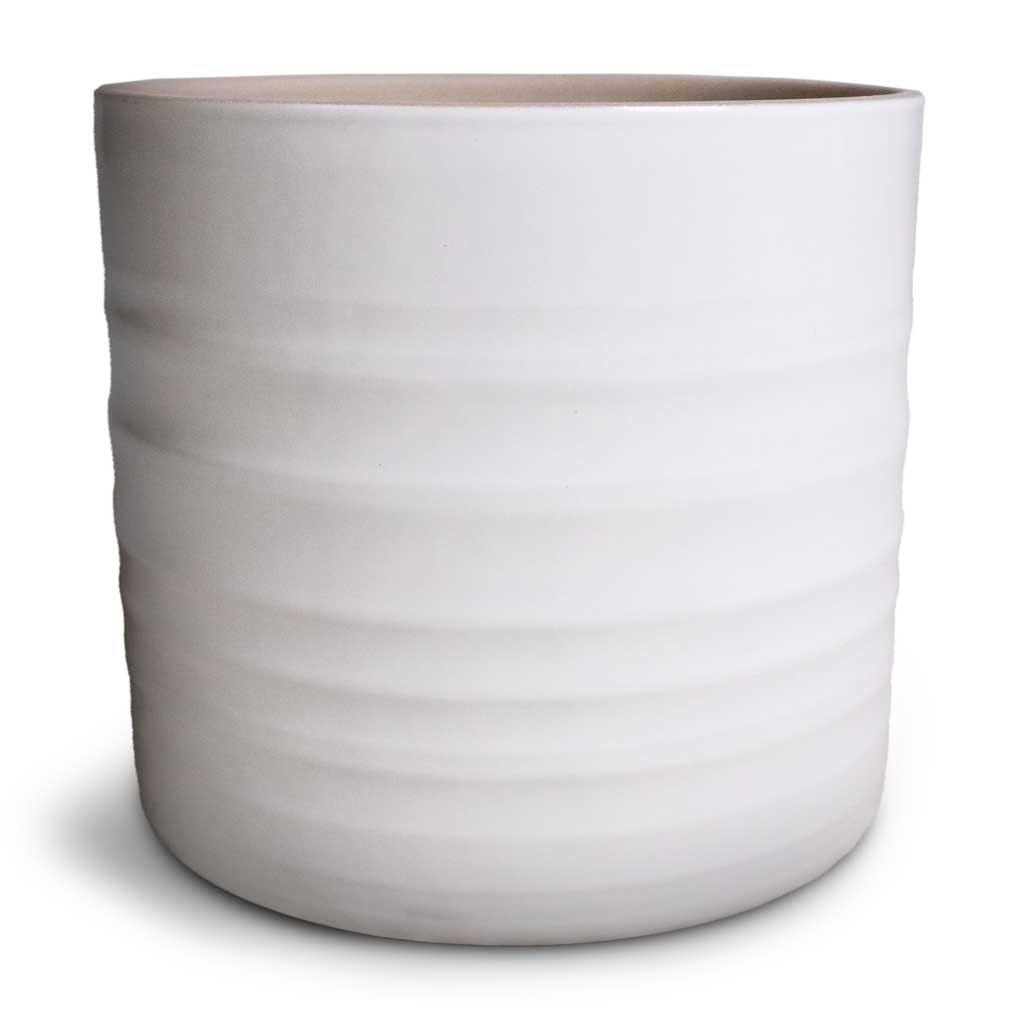 Hadleigh Plant Pot - White Mid