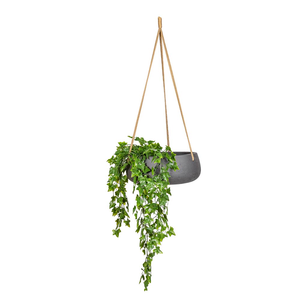 Ivy Hanging Bush UV Resistant Artificial In Eileen Hanging Bowl Black Washed